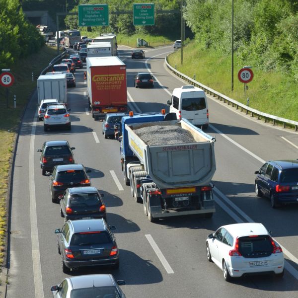   Gewerbekammer sagt Ja zur Milchkuhinitiative