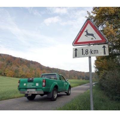 Projekt «Weniger Wildunfälle!» erfolgreich abgeschlossen