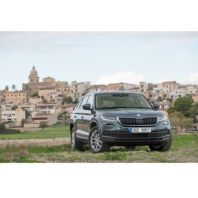 Skoda Kodiaq: Der Bär ist los