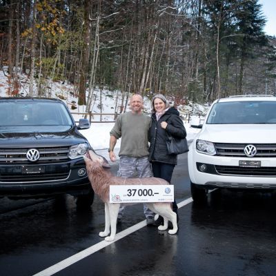 VW Amarok von Gölä versteigert