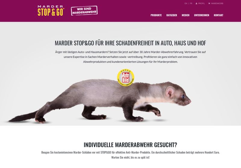 STOP&GO: ein marderisch guter Online-Auftritt