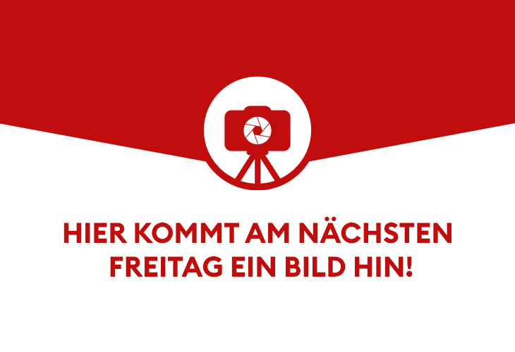 Massgeschneiderte Lösungen für den automobilen Ersatzteilmarkt 