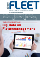 Ausgabe 06/2013